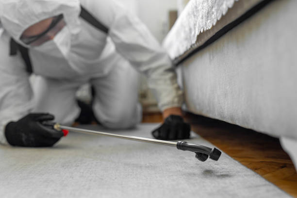 Professional Bed Bug Control technician working in Johnsonburg, PA