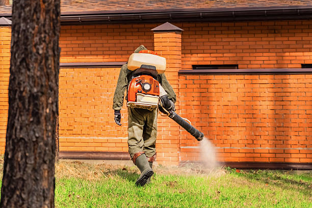 Trusted Rodent Control service in Johnsonburg, PA - Nex Pest Control